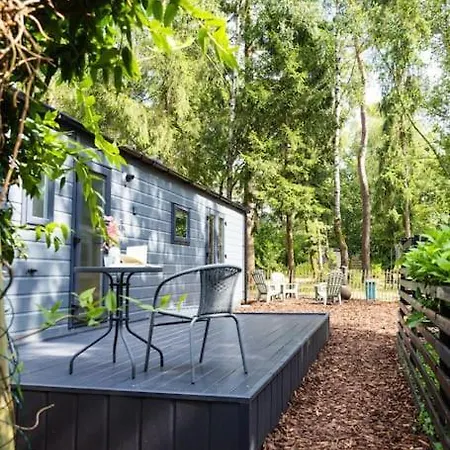 Schitterend In Het Bos * Doornspijk