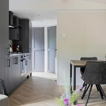 Schitterend In Het Bos