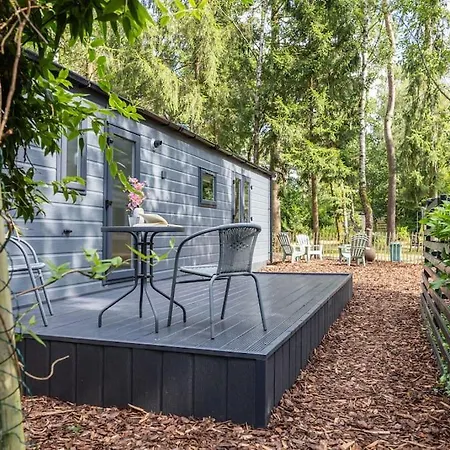 Schitterend In Het Bos