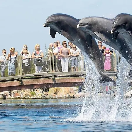 Schitterend In Het Bos Apartament