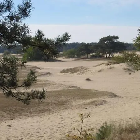 Apartmán Schitterend In Het Bos