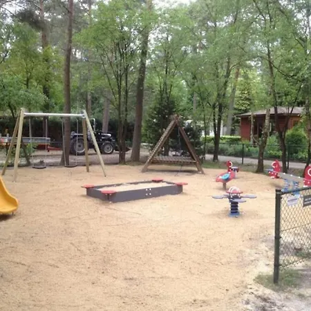 Schitterend In Het Bos *
