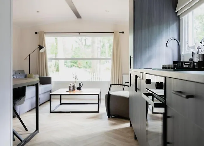 Schitterend In Het Bos