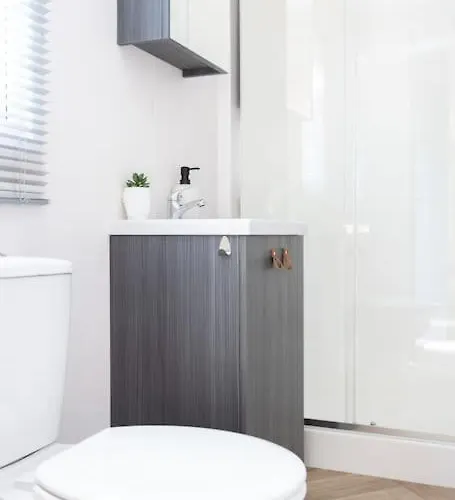 Schitterend In Het Bos *