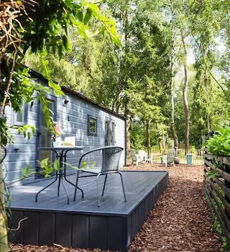 Schitterend In Het Bos * Doornspijk