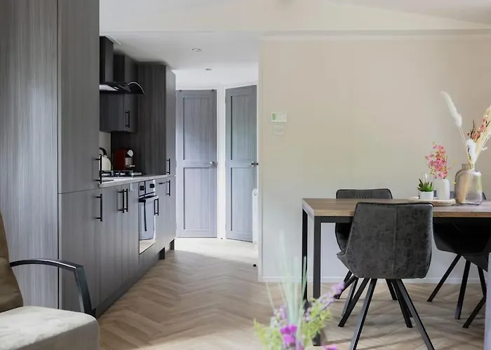 Schitterend In Het Bos