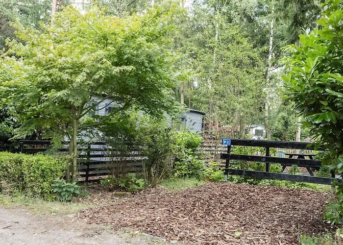 Schitterend In Het Bos Doornspijk