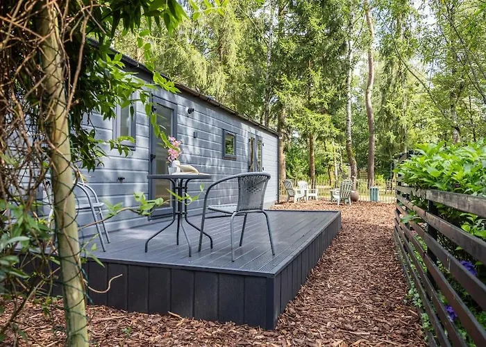 Schitterend In Het Bos