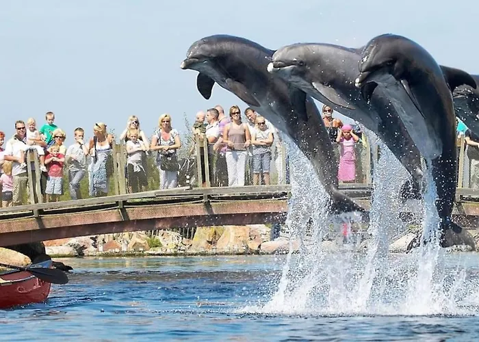 Schitterend In Het Bos Apartment