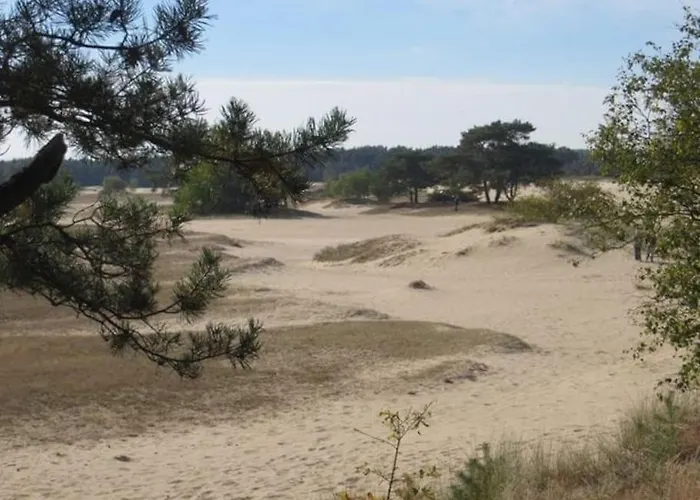 Appartamento Schitterend In Het Bos