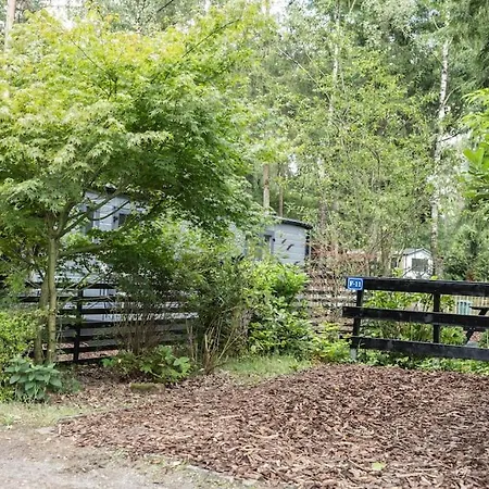 Schitterend In Het Bos Doornspijk