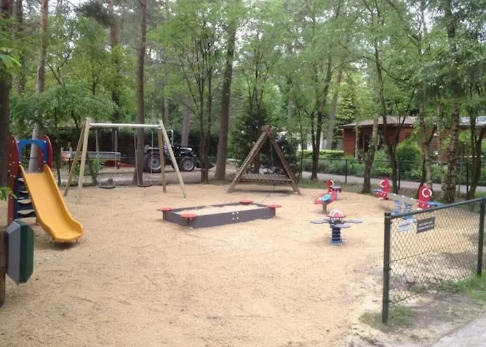 Schitterend In Het Bos *